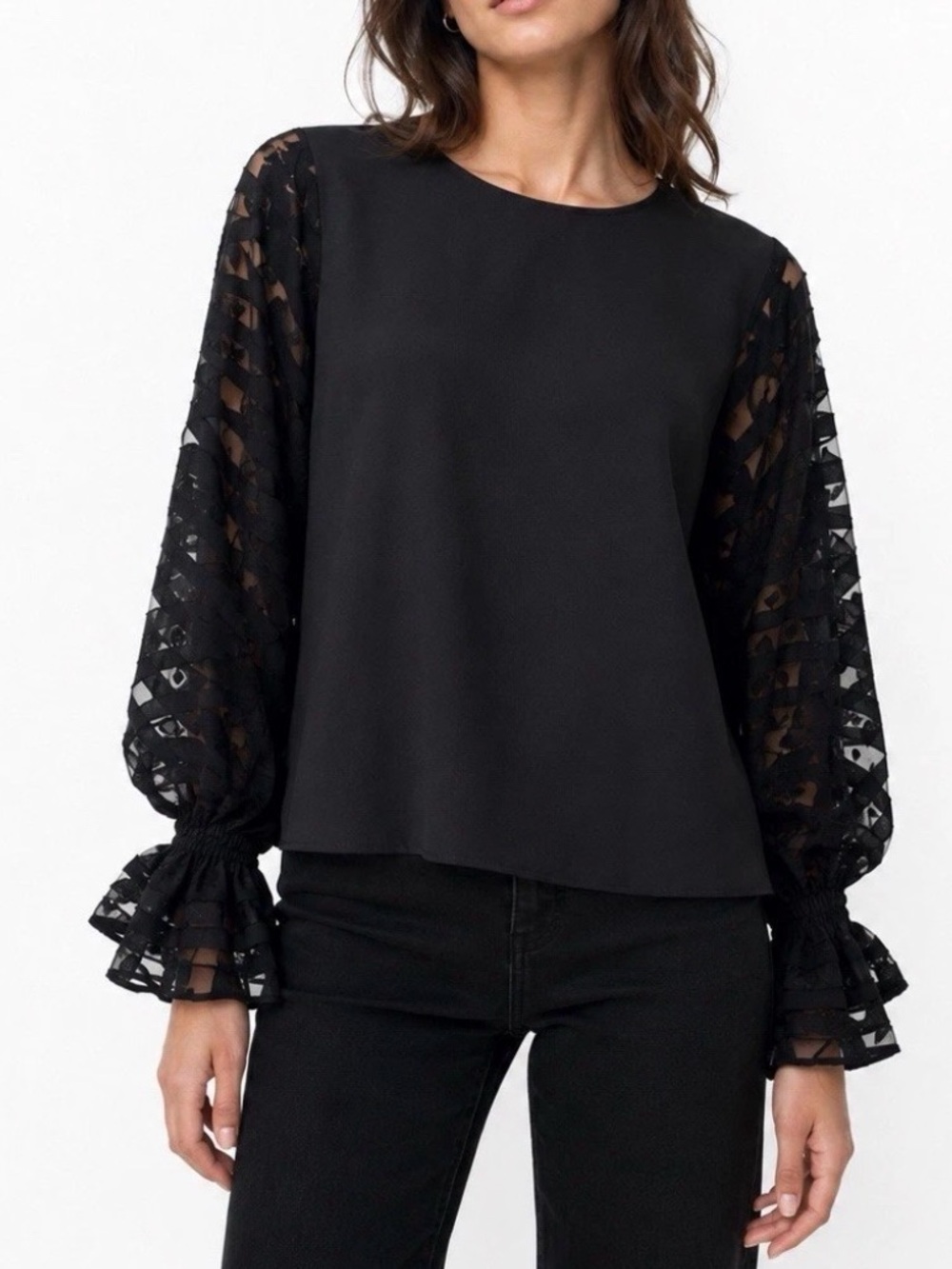 Zara Blouse Top Black XS Organza Sheer Balloon Sleeves Smocked Dark Academia